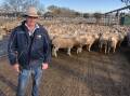 EYES ON MARKET: James Tierney of Riverina Livestock Agents (RLA) pictured at Wagga Livestock Marketing Centre. Picture: Nikki Reynolds