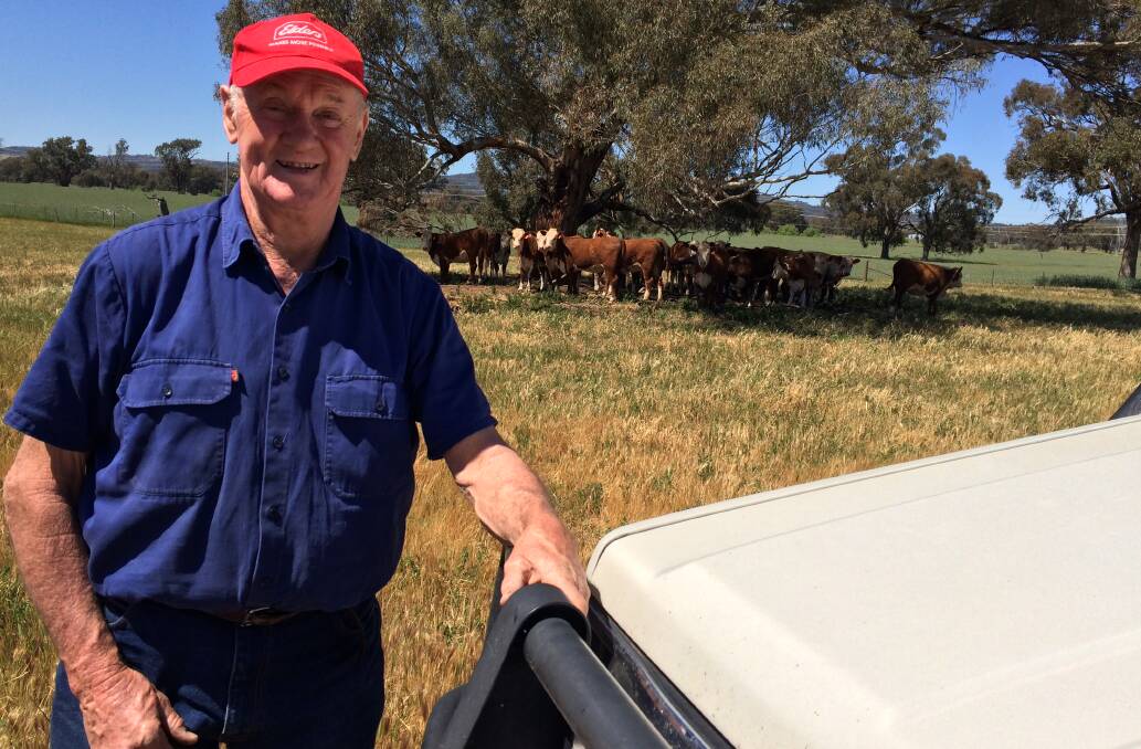 WHITEFACE SUCCESS: Jim Simpson of "Bimbadeen", Gregadoo has sold a consignment of cattle to South Australia recently. Picture: Nikki Reynolds