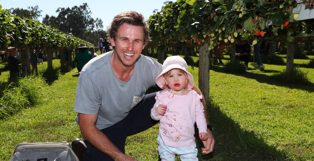 HELPING HANDS: Mangoplah-Cookardinia United-Eastlakes footballer Ryan Price helps his 16-month-old daughter Matilda Price reach the strawberry bushes. Picture: Emma Hillier