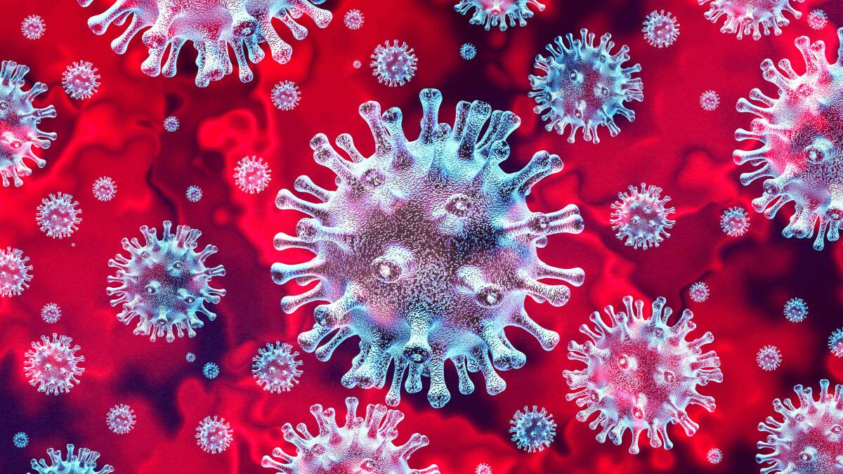 Two more coronavirus infections confirmed in the Murrumbidgee Local Health District
