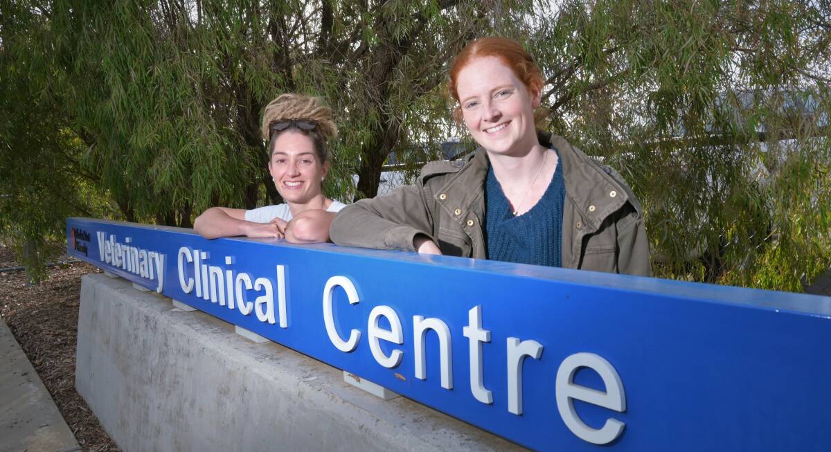 VET PASSION: Zoe McDonald and Lucy Irish are on a 'Mayrathon' for mental health. Picture: Kenji Sato