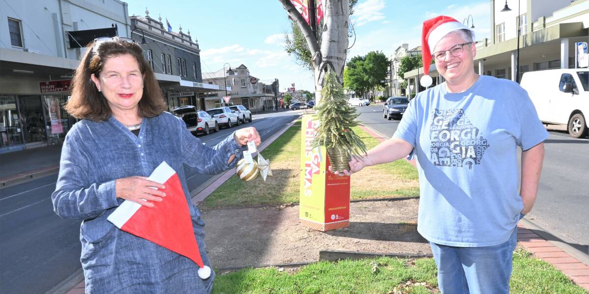 TIS THE SEASON: Shopkeepers Louise Leahy and Roley McIntyre are getting into the Christmas spirit. Picture: Kenji Sato