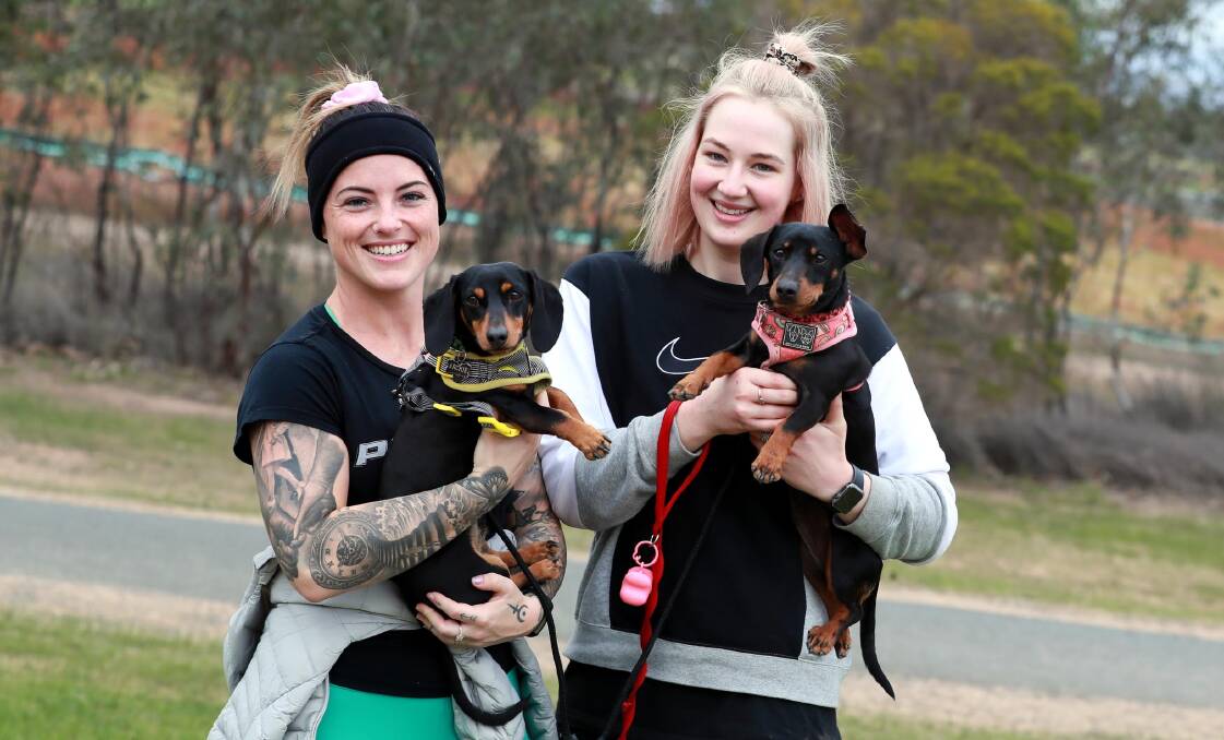 STAYING WARM: Presslea Cowan and Chelsea Sutton enjoy a walk around Lake Albert with dachshunds Audrey and Archie. Picture: Les Smith