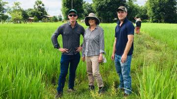 Australian volunteers Matt Champness, Prof Deirdre Lemerle, and Stephen Lang, working in Laos in 2019. Picture supplied