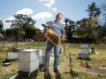 Un-bee-lievable: David Vial, of Williamtown, photographed with his bees before the crisis hit. 'We're just hoping they can contain it within the 50-kilometre zone'. Picture: Max Mason-Hubers 