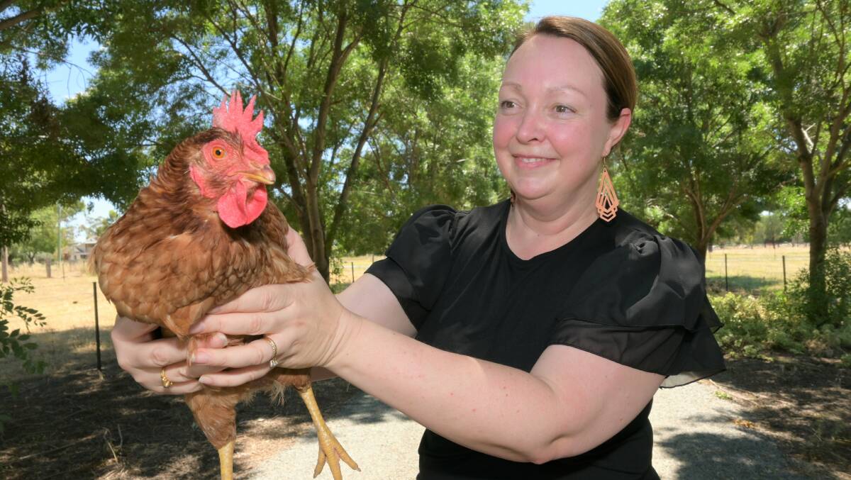 
FEATHERY FRONTLINE: The Murrumbidgee Local Health District's Rebekah Manwaring with Rosie the chicken, a former participant of the virus surveillance program. Picture: Kenji Sato 