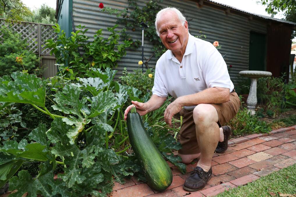 BIG VEG: Bruce Leary with the giant zucchini. Picture: Emma Hillier