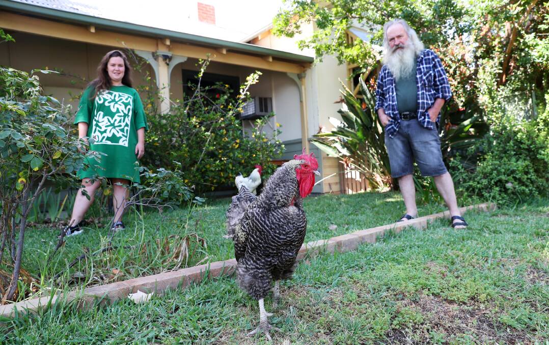 ON THE LOOSE: Ruth and Shane Cummins are hoping the roosters' owner will come forward to claim the birds. Picture: Emma Hillier