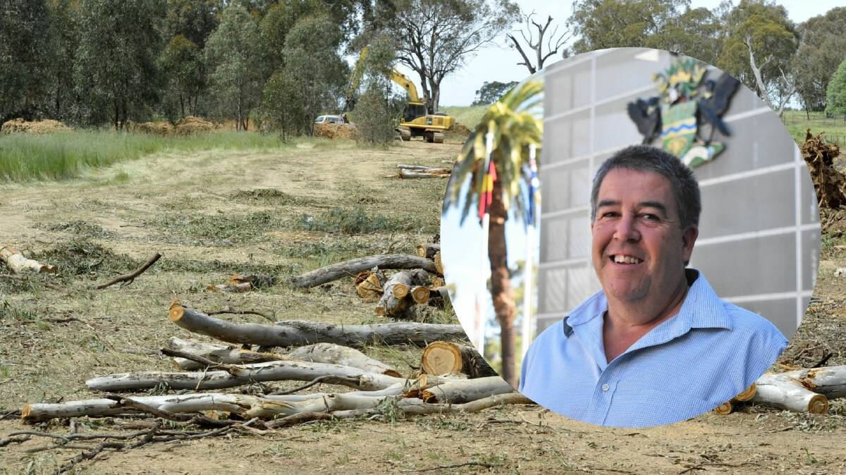 CONCERN: Wagga City Council operations director Warren Faulkner, inset, says rural trees are important for environmental conservation. Pictures: File/Catie McLeod