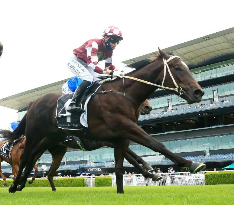 SIRES BOUND: Rocket Tiger came third in the Black Opal. Picture: Getty Images