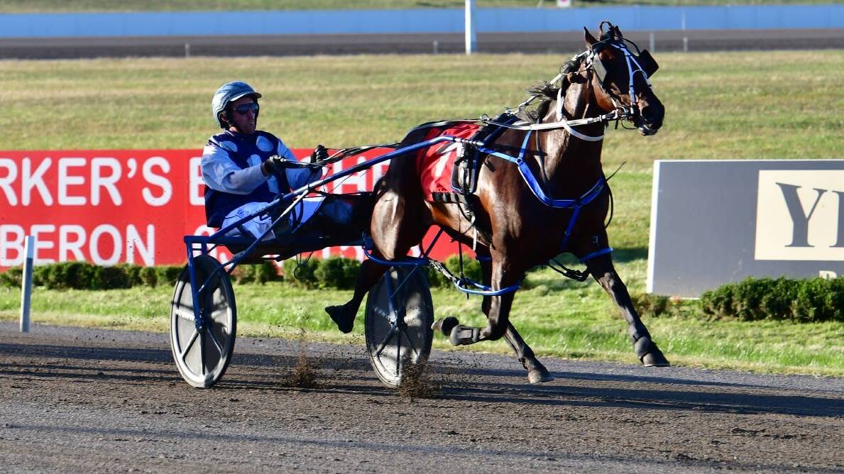 STRONG WIN: Rocknroll Runa strolled to an easy win in Friday's Bathurst Gold Crown heats to win through to next weekend's final. Picture: Alexander Grant/Western Advocate. 