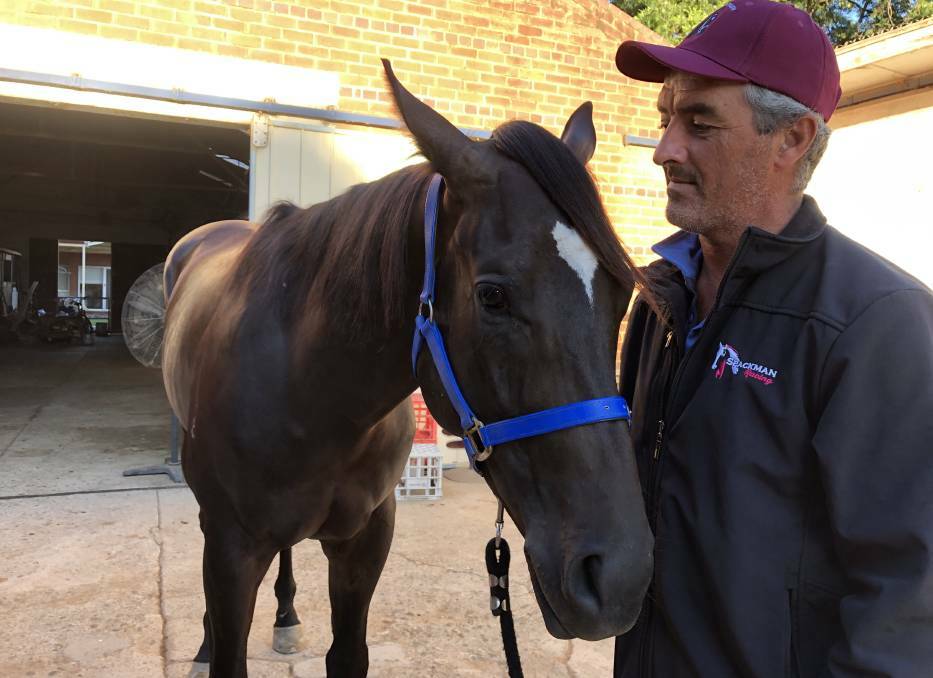 Wagga trainer Scott Spackman with Rocket Tiger. Picture: Peter Doherty 