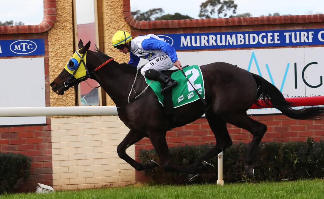READY TO GO: Gentleman Max is looking to seal his first Cootamundra Cup on his fourth attempt this Sunday. Picture: Emma Hillier
