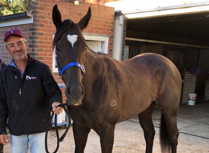 Wagga trainer Scott Spackman with Rocket Tiger last year. Picture: Peter Doherty