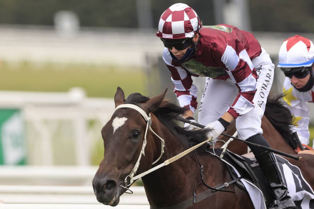 IN DOUBT: Wagga horse Rocket Tiger, pictured being ridden by regular jockey Kathy O'Hara, is in doubt for Saturday's Golden Slipper. Picture: Getty Images