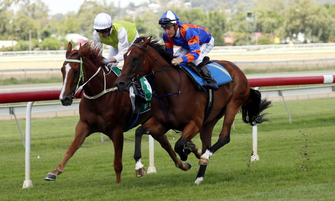 READY TO GO: Another One (inside rail) has an exhibition gallop against Participator at Wagga on Wednesday before he races at Rosehill on Saturday. Picture: Les Smith