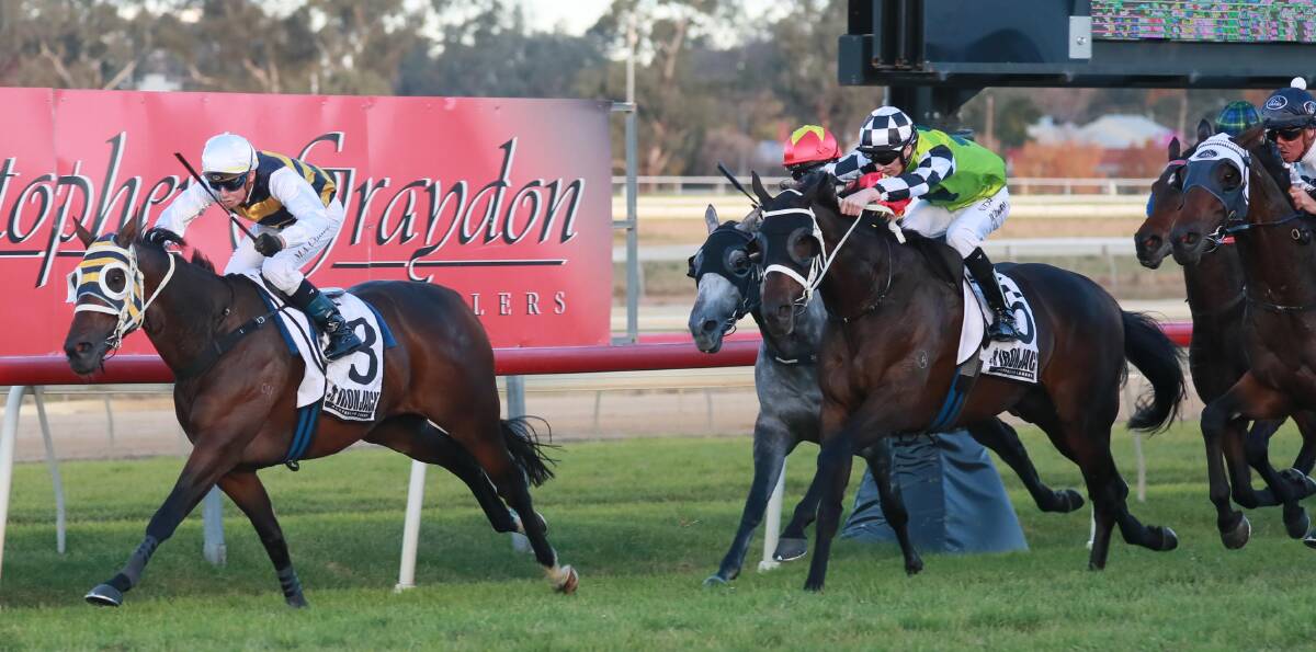 STAR STUDDED FIELD: Jockey Matthew Cahill
guided longshot Inverloch to victory in last year's
Wagga Cup. Picture: Les Smith