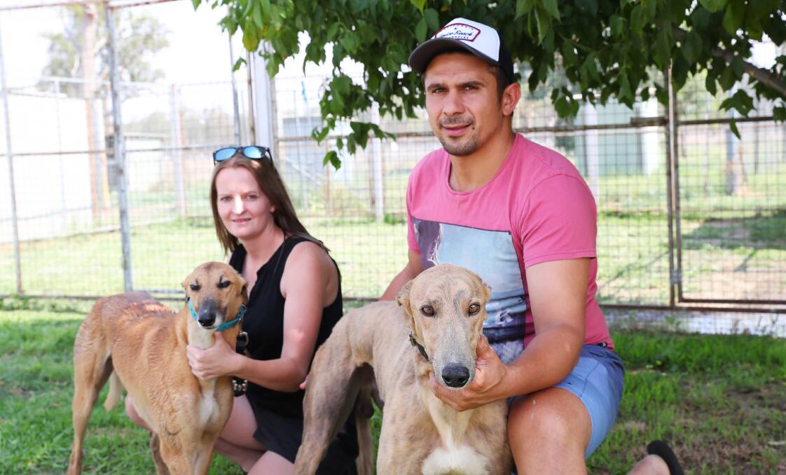 READY TO RACE: Clint Colaiacovo with Get On It and partner Jess Fothergill with Hurricane Ashy before Friday's Wagga greyhound meeting. Picture: Emma Hillier