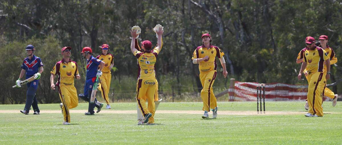 GOOD START: Lake Albert celebrates a wicket during last week's round one win over St Michaels. Picture: Matt Malone