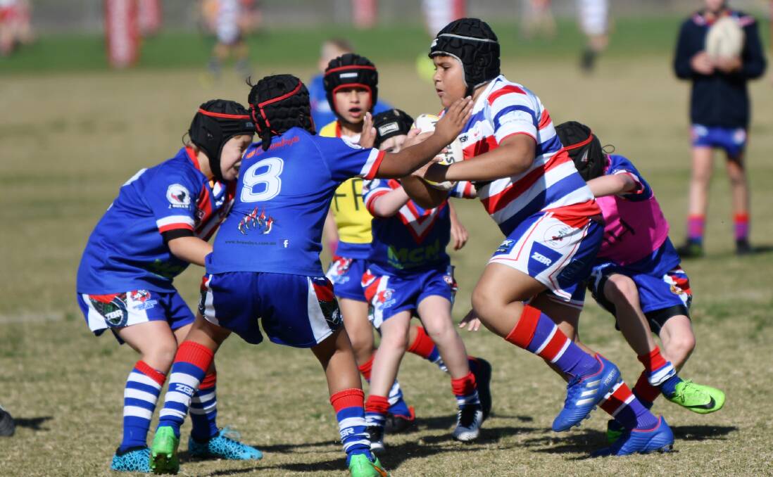 SAFETY FIRST: Junior players who suffer a concussion will be sidelined for two weeks under new NSWRL rules. 