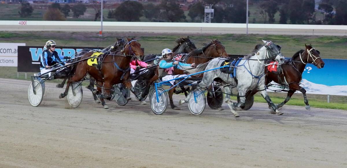GREY FLASH: Time Keepa Lombo, pictured winning a race at Wagga in May, is an outside chance in the Junee Pacers Cup. Picture: Les Smith 