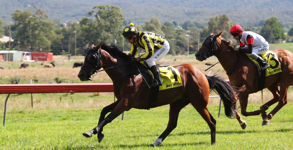 STRONG WIN: Jockey Michael Heagney rides the Todd Smart-trained Great Glen to victory in Saturday's Tumut Cup. Picture: Emma Hillier