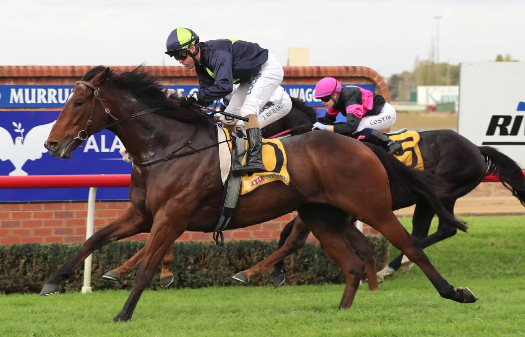 COMFORTABLE: Hello China has a strong record at Wagga. Picture: Les Smith