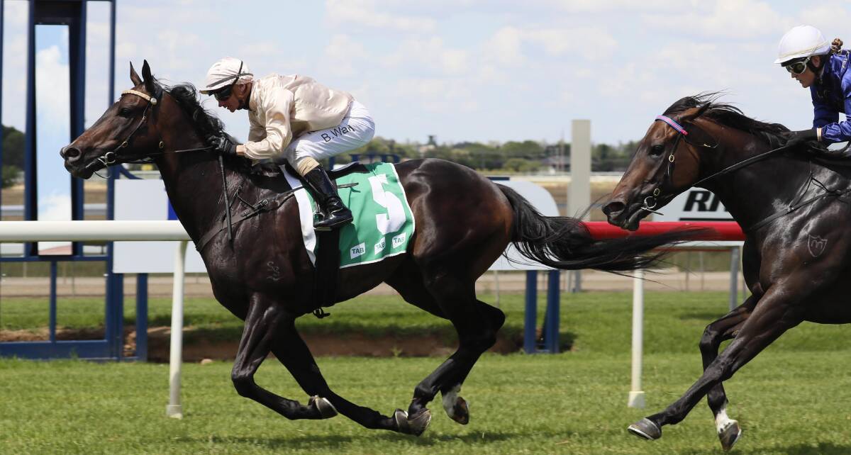 OPTIMISTIC: Blitzar, pictured winning on Australia Day at Wagga, will run in Sunday's Newhaven Park Country Championships Wildcard (1400m) at Scone. Picture: Les Smith
