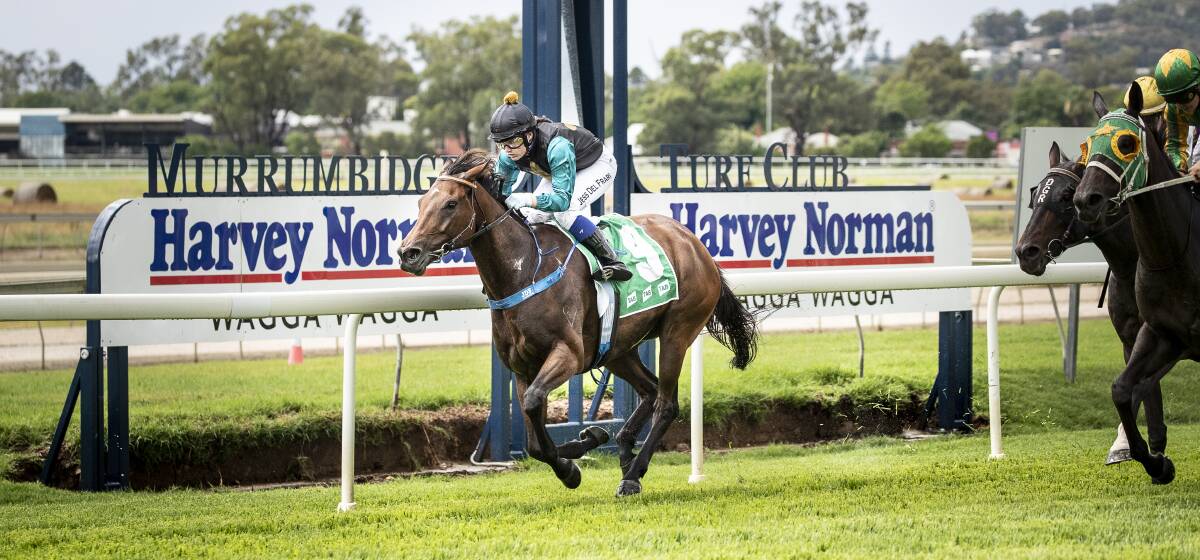 UPSET: The Michael Travers-trained Estaverdi caused a boilover in the Class 2 Handicap (1600m) at Wagga on Thursday. Picture: Ashley Smith