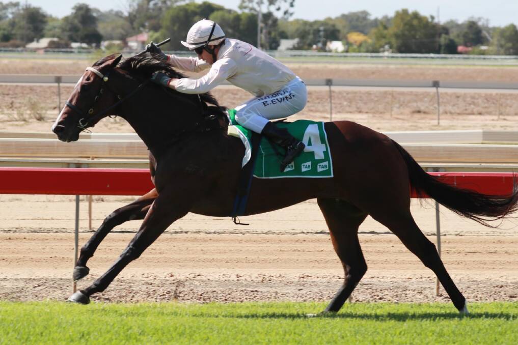EASY WIN: Corazon De Oro cruised to a comfortable win for trainer Chris Heywood. Picture: Les Smith