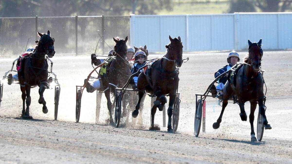 BOLTED IN: Techys Angel, driven by former Junee Reinsman Cameron Hart, proved far too strong in Sunday's $100,000 Riverina Championships group one Mares Final. Picture: Les Smith