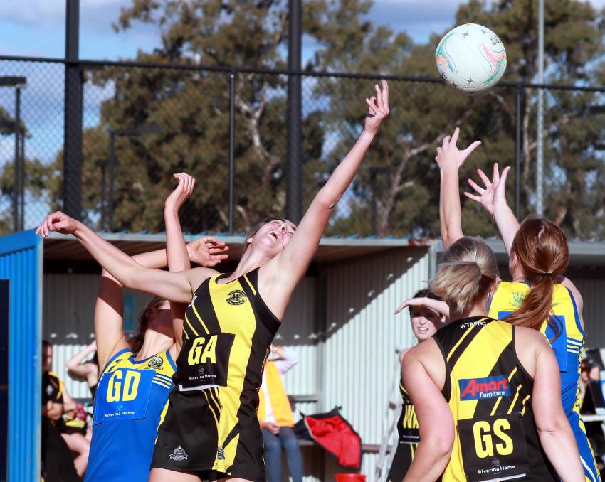MCUE got their title defence off to a strong start with a first-up win over Wagga Tigers. Pictures: Les Smith