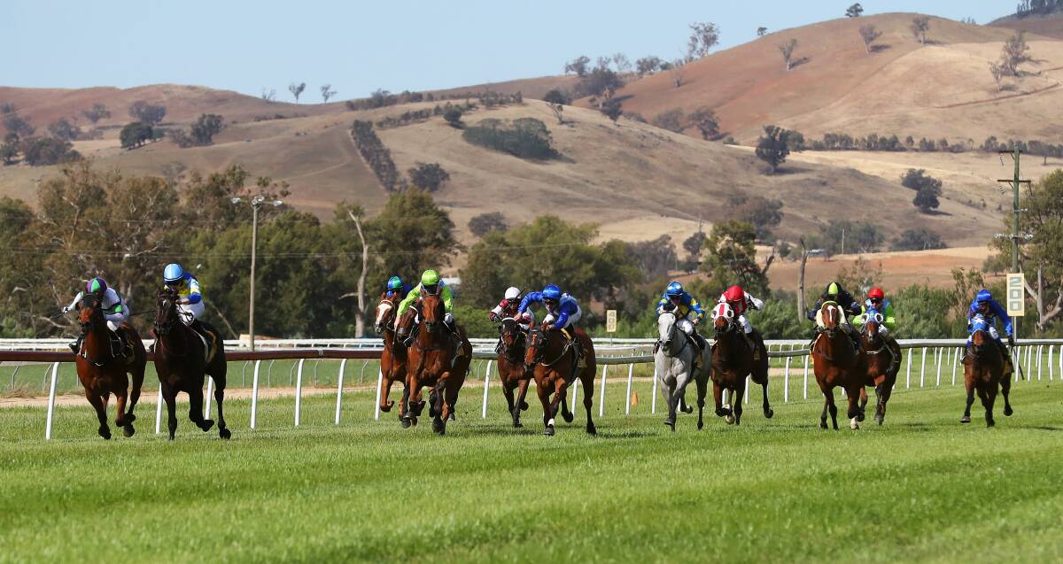 RACING'S BACK: Horses run down the straight during last year's Snake Gully Cup carnival. Picture: Emma Hillier