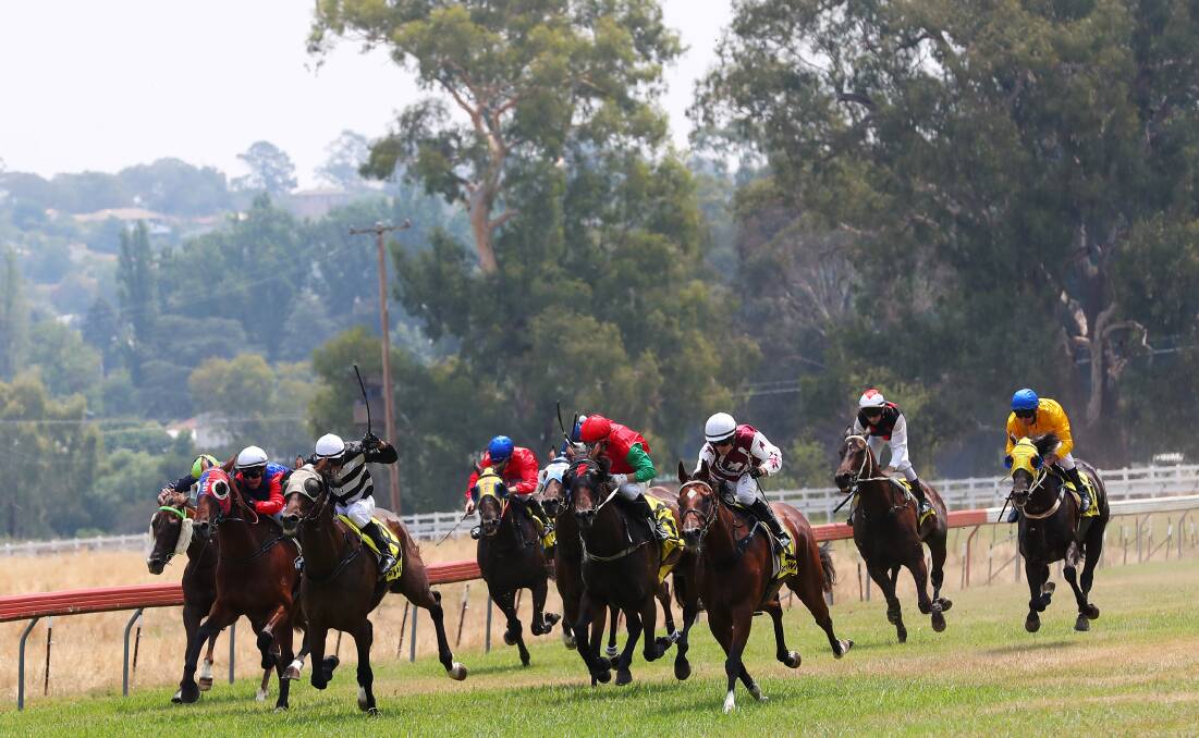Tumut Race Club held its first TAB meeting in 19 years on Saturday. Pictures: Emma Hiller.