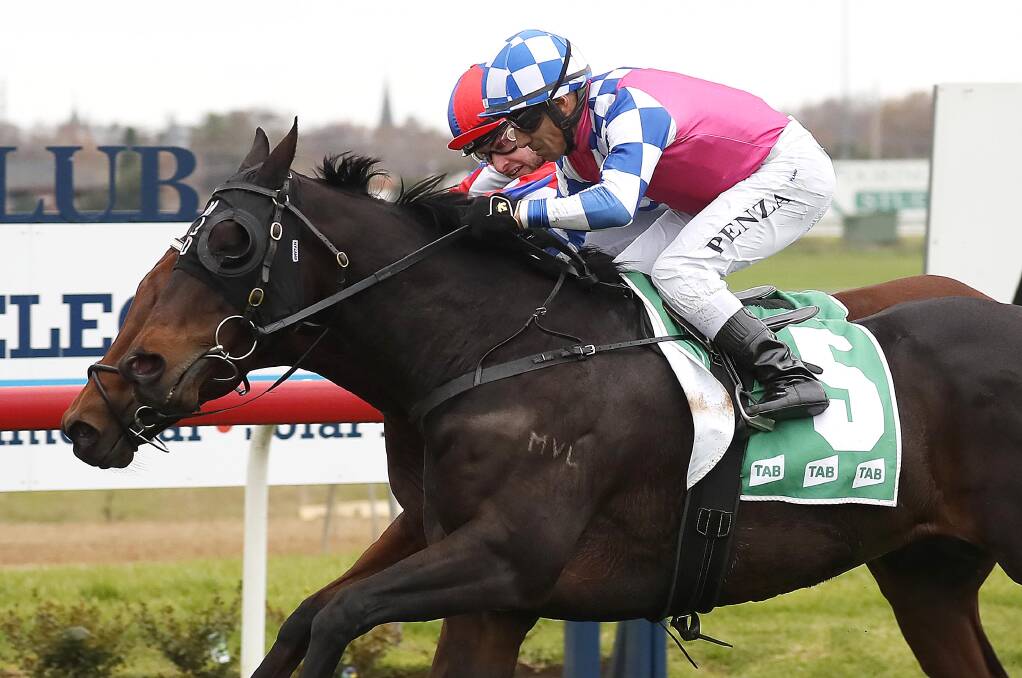 CRACKING FINISH: Toulon Brook (foreground), ridden by Jeff Penza, edged out favourite Gusonic in a two horse battle at Wagga. Picture: Les Smith