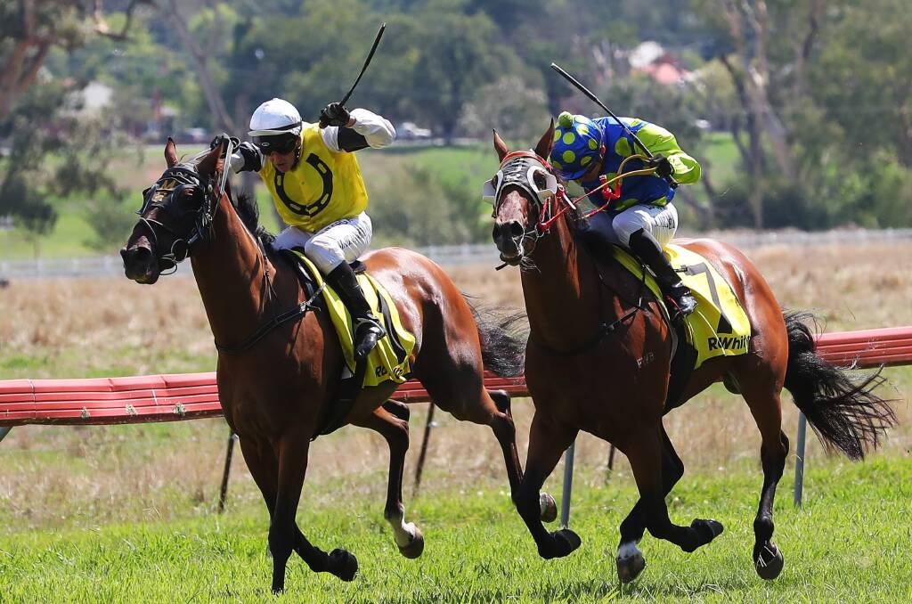 TOUGH WIN: Tickinover (number one), ridden by Michael Heagney, just holds off Boston Ivy to win the Class 2 Handicap (1400m) at Tumut on Saturday. 