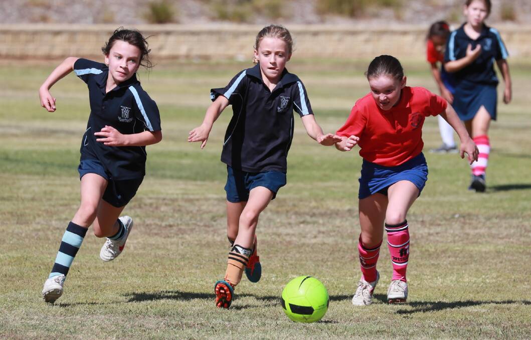 GALA DAY: Wagga Public School duo Stella O'Kane and Zoe Wilkinson and Henschke's Zara Connelly compete for the ball during Thursday's Mini Matildas Gala Day at Jubilee Park. Picture: Les Smith