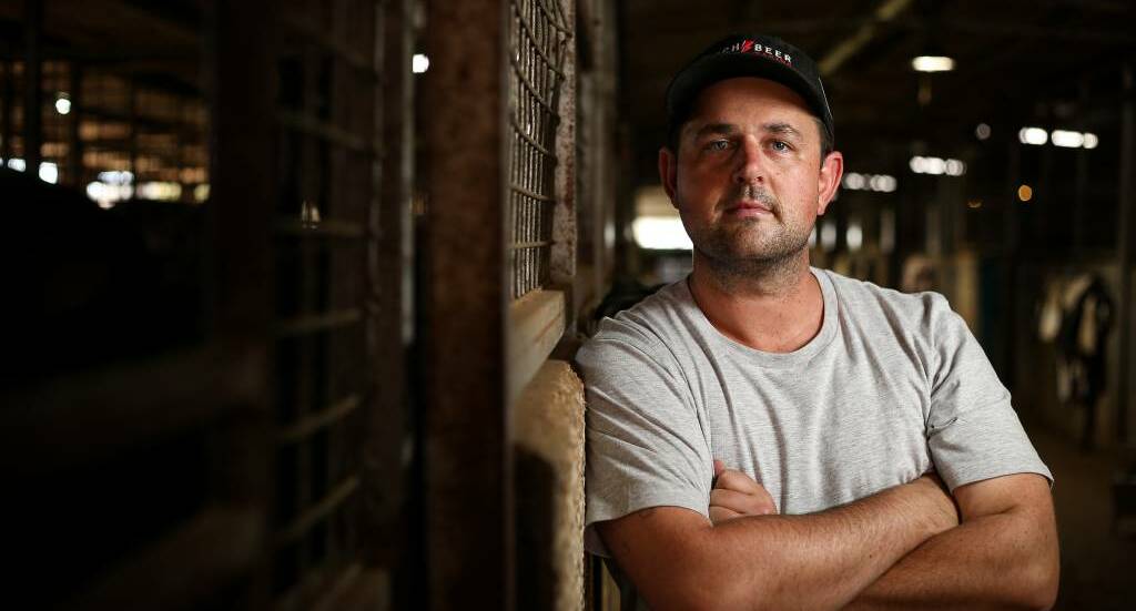 OPTIMISTIC: Trainer Mitchell Beer rates Allez Brew his best chance at Wagga on Monday. Picture: The Border Mail