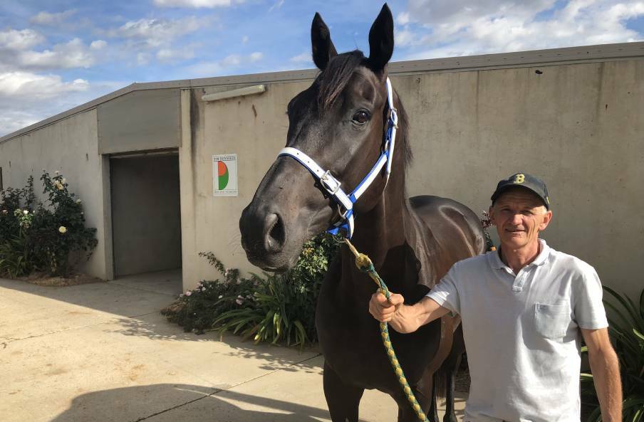IN FORM: Wagga trainer Tim Donnelly with Pontmain last month. Picture: Matt Malone