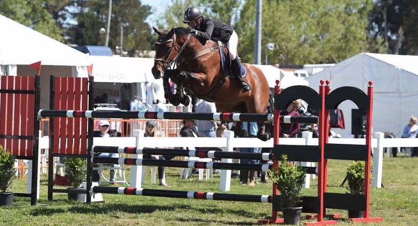 NATIONAL SELECTION: Wagga showjumper Chloe Mannell competing at the recent NSW State Championships in Canberra on horse CP Fluer Des Lis.