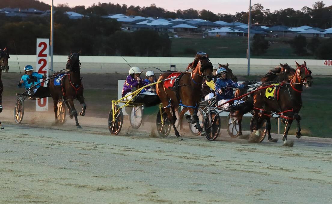 HUGE RUN: Ace In Our Pocket (last horse) came from well back in the field to cause an upset in the first race at Sunday's Wagga harness meeting. Picture: Les Smith