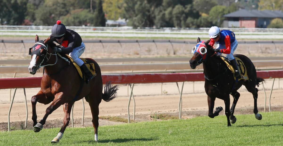 GOOD DAY: Jockey Brent Evans guides Desert Storm
to victory at Saturday's Wagga picnic meeting, one of
his three wins for the day. Picture: Les Smith