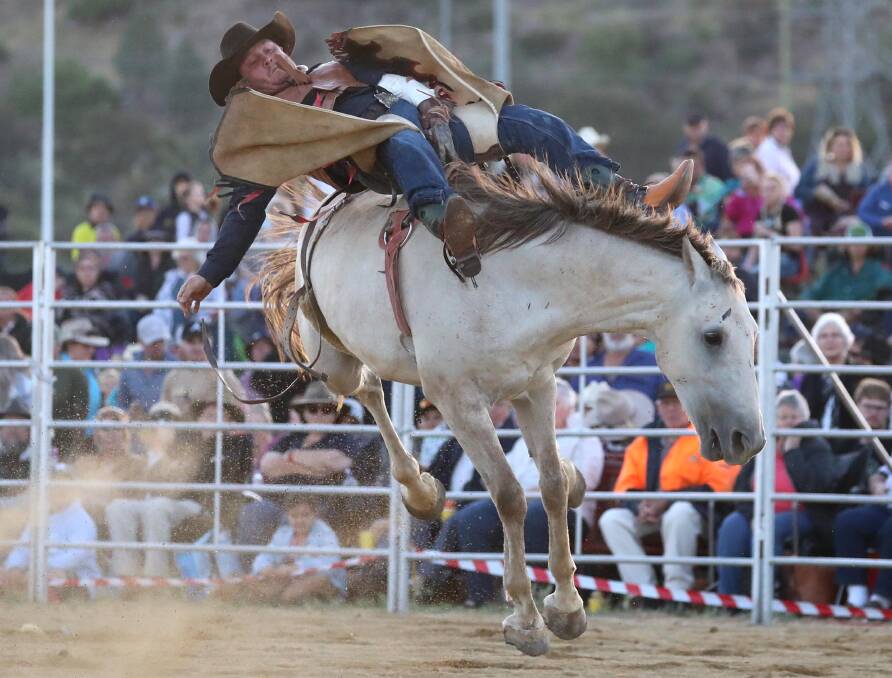 Patrick Webster tries to hold on during last yer's open bare-back saddle bronc event at the Wagga Pro Rodeo. Picture: Les Smith