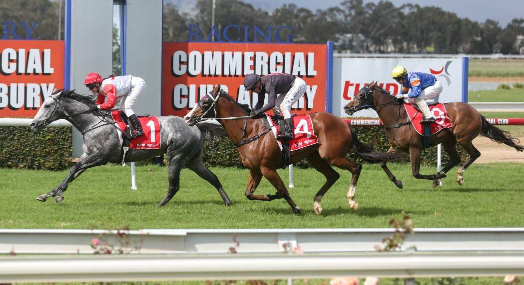 LONG WAIT: Danielle Scott crosses the line on Waiting For A Mate at Albury on Saturday. Picture: Tara Trewhella