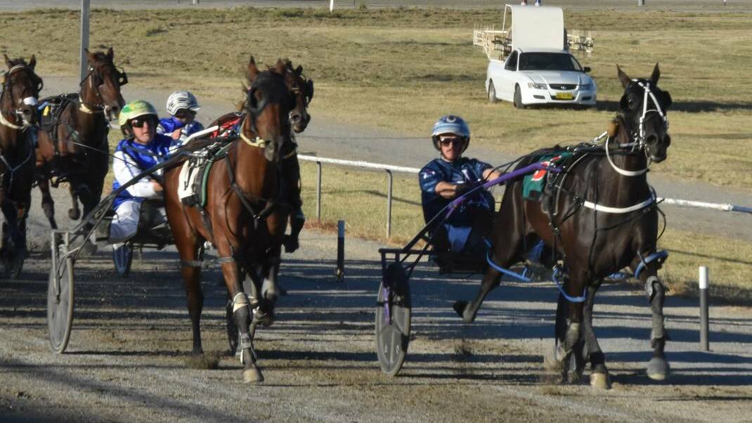 FAVOURITE: Nowhere Creek (right) is favourite for Monday's Junee Pacers Cup after last week's strong heat win. Picture: Courtney Rees