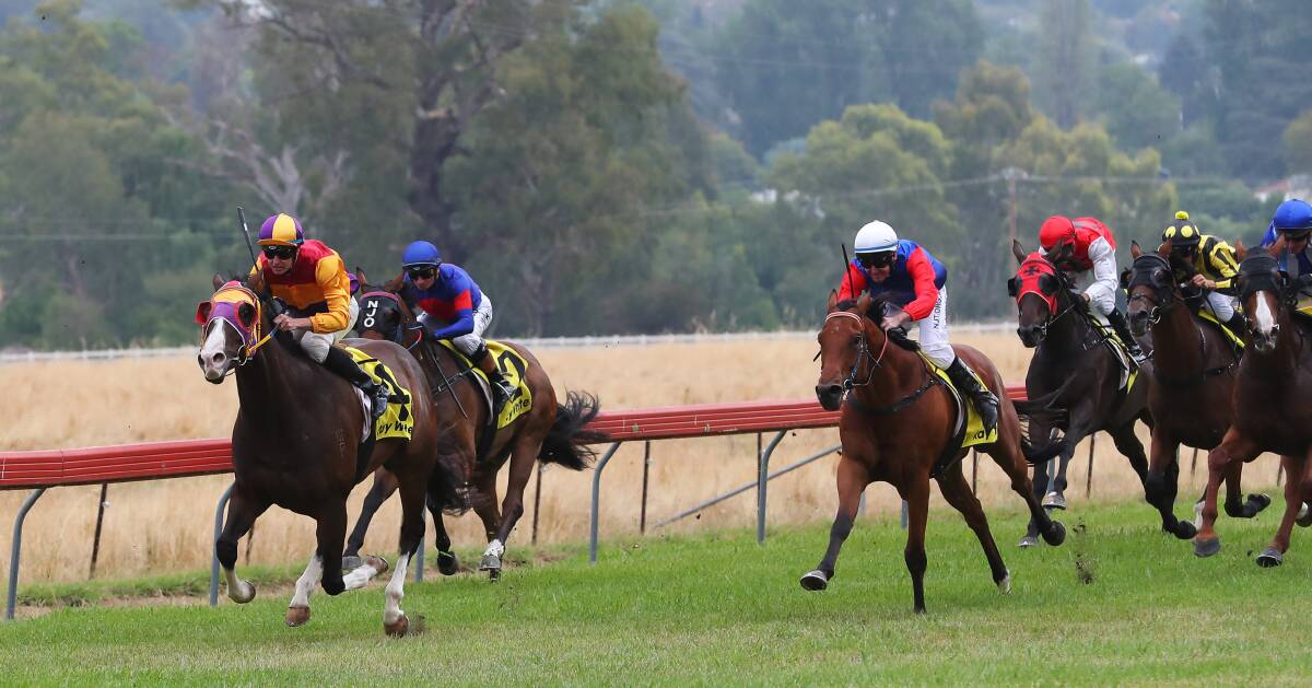 GOOD WIN: High Dude (front, number four) easily won the Tumut Mile in track record time on Saturday. Picture: Emma Hillier