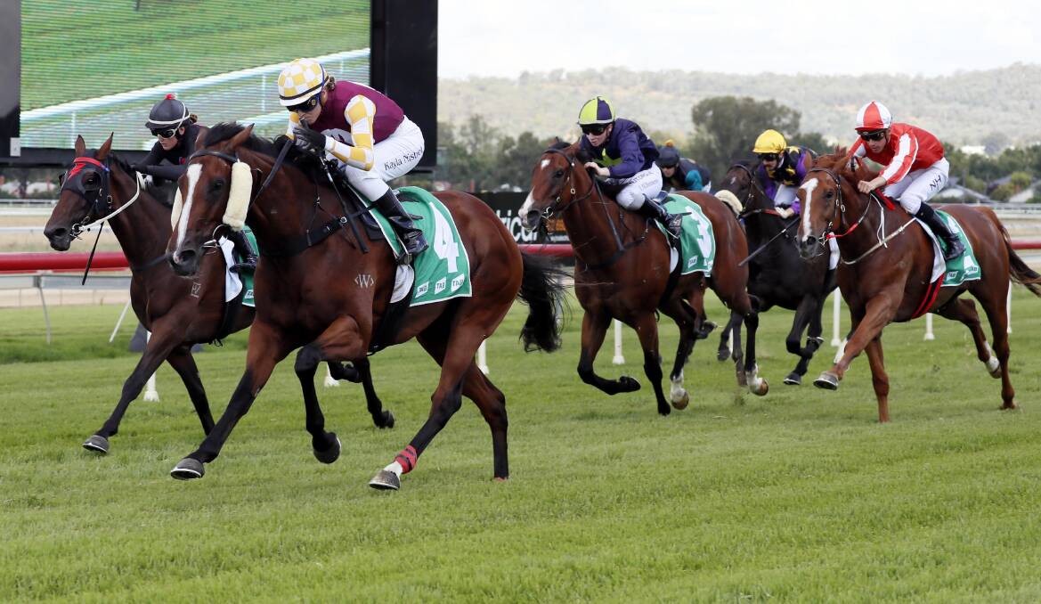 TOO GOOD: Loving Cilla (foreground) cruises to a win at Wagga on Wednesday. Picture: Les Smith