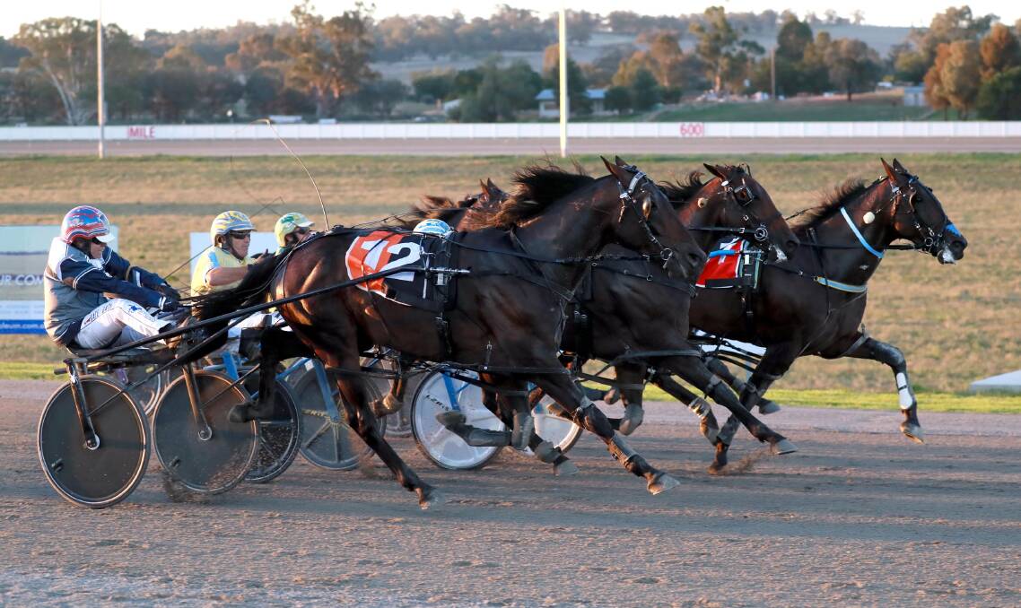 CLIFFHANGER: Wolf Stride (inside) just holds off Out To Play (outside) and Max Delight (middle). Picture: Les Smith