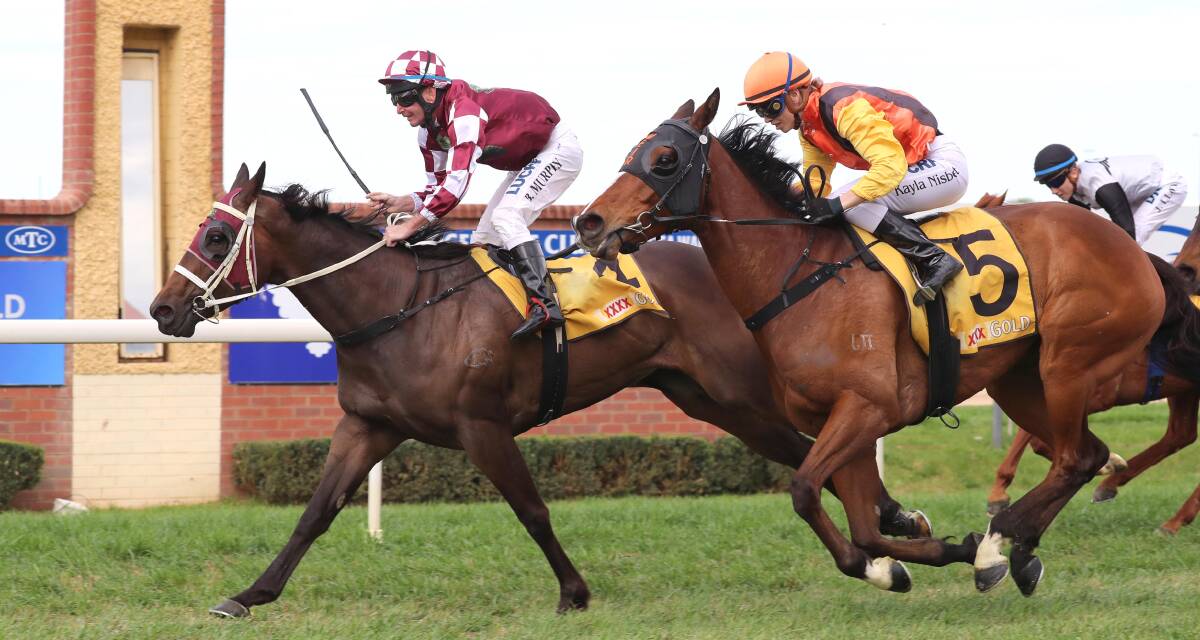 IN: Takissacod, pictured winning a race at Wagga last year, looks to have secured a place in the SDRA Country Championships Qualifier field. Picture: Les Smith