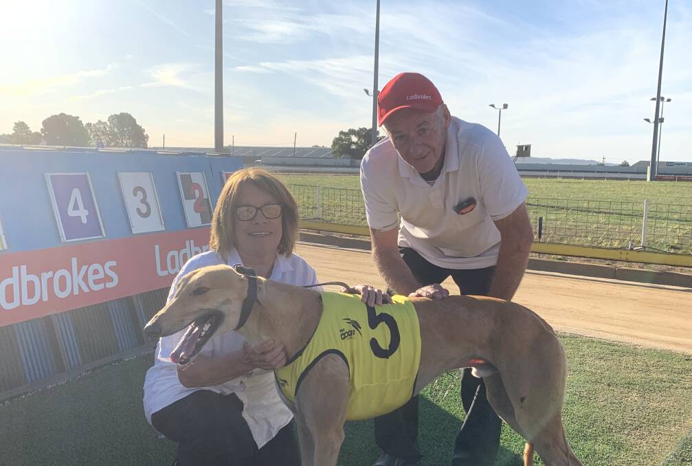 BREAKTHROUGH: Sunlit Toad ended a run of three straight seconds with a win at Wagga on Sunday. Picture: Jon Tuxworth